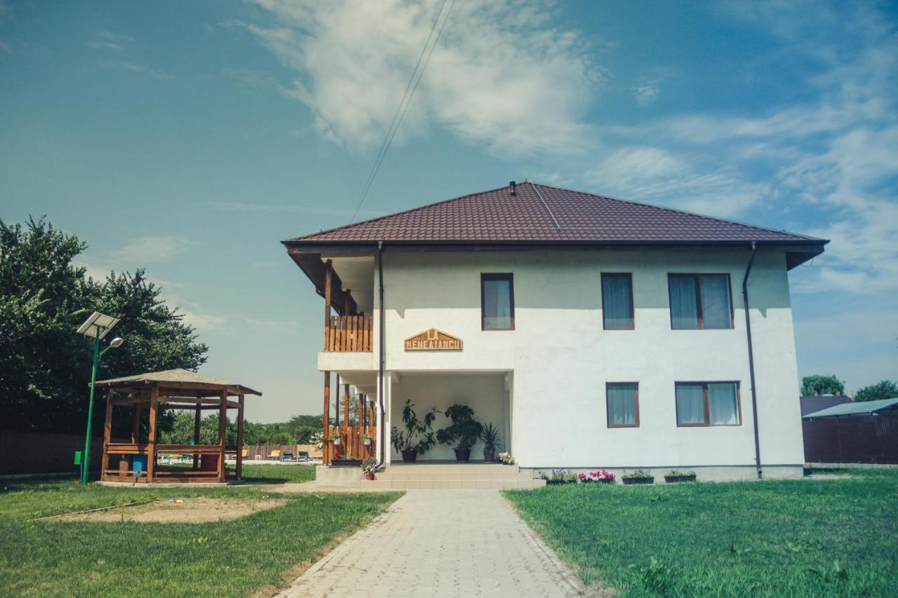 Pensiunea La Nenea Iancu Greci Luaran gambar