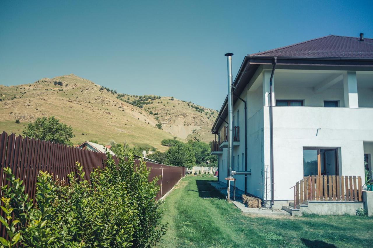 Pensiunea La Nenea Iancu Greci Luaran gambar